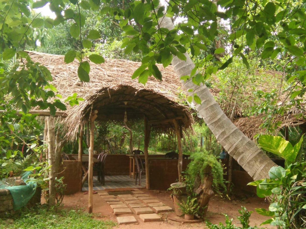 Gimanhala Cottage & Cookary Class Anuradhapura Ngoại thất bức ảnh